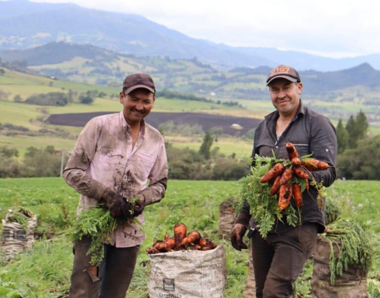 Galeria de Imágenes