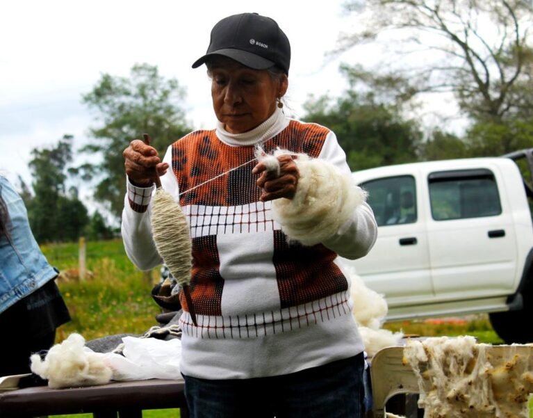 Galeria de Imágenes