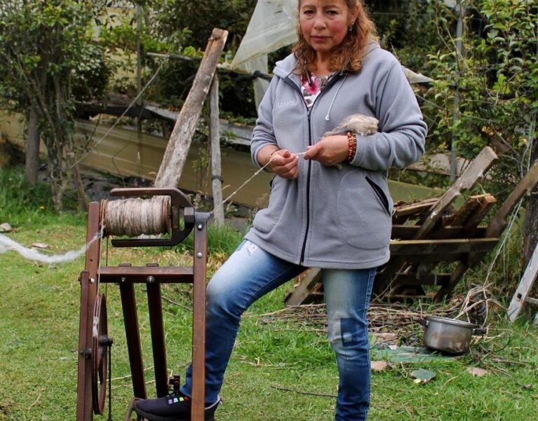 Galeria de Imágenes