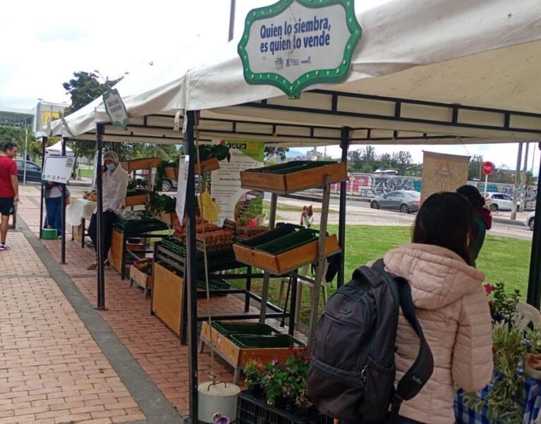 Galeria de Imágenes