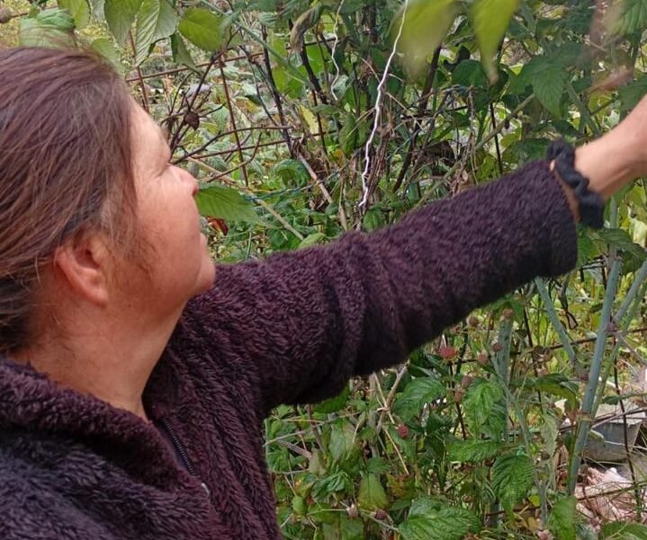 Galeria de Imágenes
