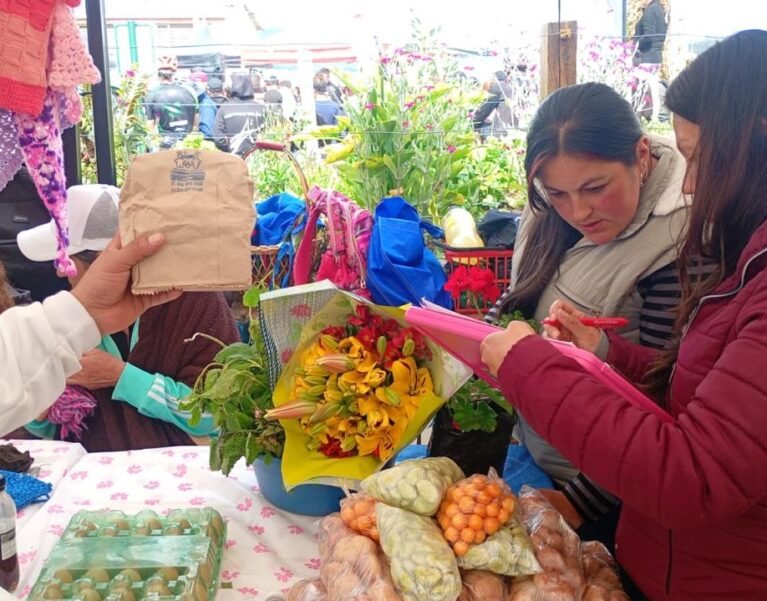 Galeria de Imágenes