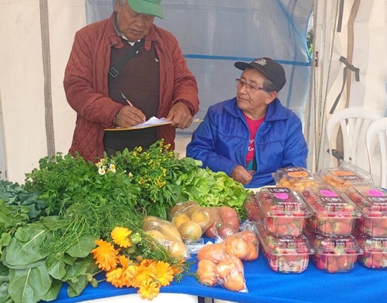 Galeria de Imágenes