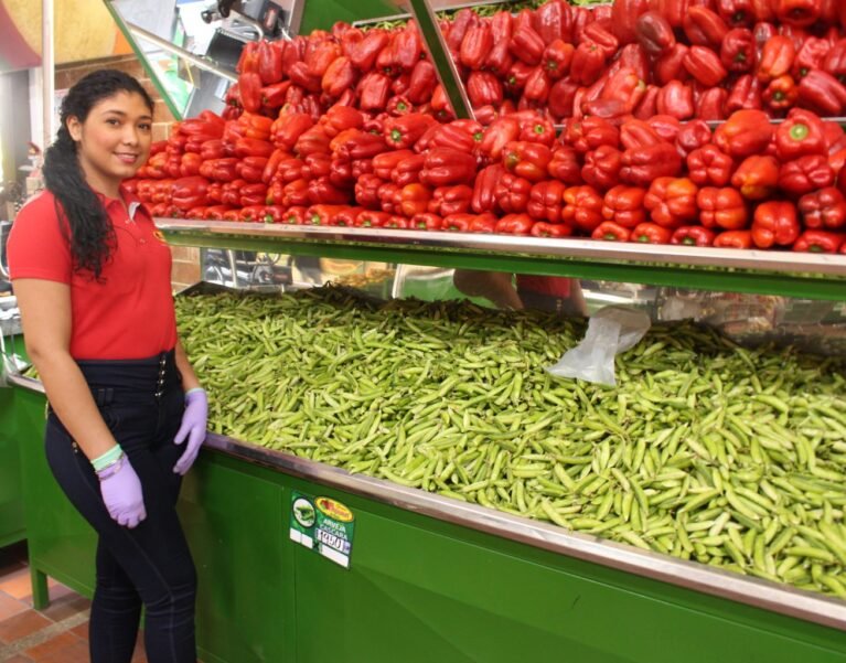 Galeria de Imágenes