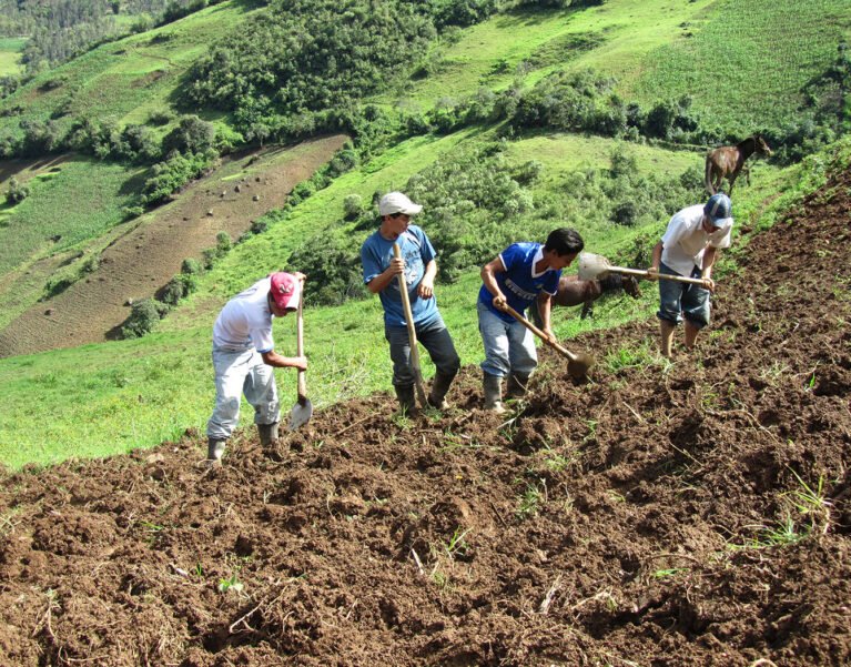 Galeria de Imágenes