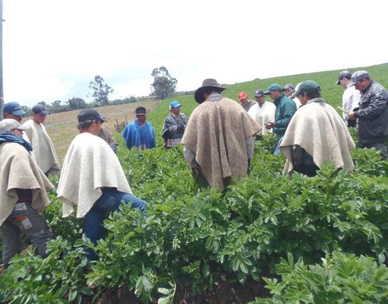 Galeria de Imágenes