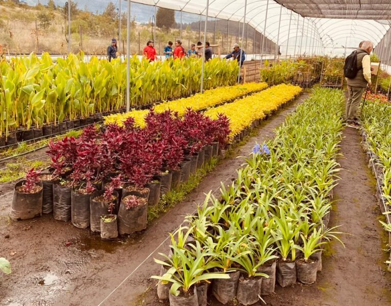 Galeria de Imágenes