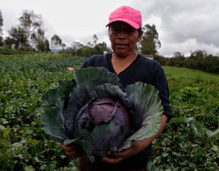 Galeria de Imágenes